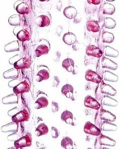 Power Escorts - Penis Extender - Flexibele Gel - Penis Sleeve Roze - 11,8 Cm