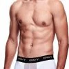 Envy Transparante Mesh Herenshort - Wit