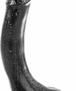 All Black - 32 Cm -Dildo -Cottelli Collection Shop 453x840 8