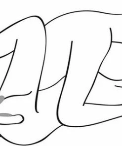 Satisfyer - Double Fun Wit -Cottelli Collection Shop 550x318