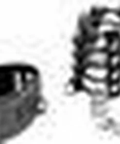 Strict Gates Of Hell Peniskooi 11 Strict Gates Of Hell Peniskooi -Cottelli Collection Shop 550x363