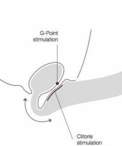 Strap-On-Me Strapless Voorbinddildo - Paars - Maat S -Cottelli Collection Shop 550x421 2