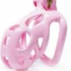 Merkloos SissyMarket - The Feminizer V2 - Roze - Small - Peniskooi - Chastity Cage 2 Merkloos SissyMarket - The Feminizer V2 - Roze - Small - Peniskooi - Chastity Cage -Cottelli Collection Shop 550x650 1
